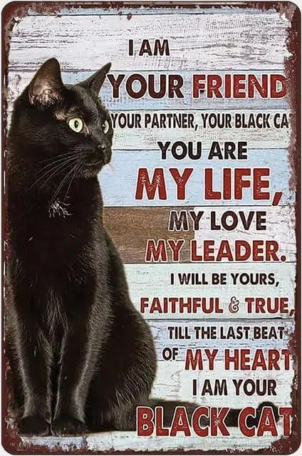 Vintage Metal Tin Sign Black Retro Poster I Am Your Friend Your Partner Your Black You are My Life My Love My Leader Rustic W