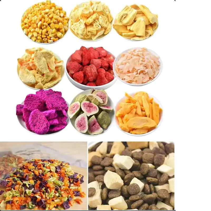 Industrial Dryer Food Vacuum Household Small Freeze Dehydrator Freeze Dryer For Food, Fruits, And Vegetables