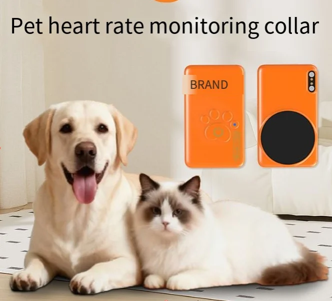 Factory's New Smart Wearable Pet Health Monitoring Device with App Link