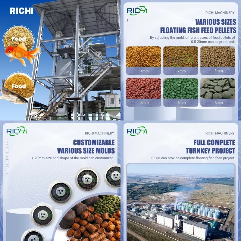 RICHI Supplier 5-6t/h China Fish Feed Production Line