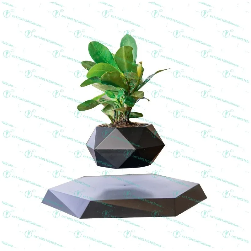 

Levitating Bonsai - Marble Base with Rotating Suspension, a Meditative Focus Object for Modern Home & Office Sanctuarie