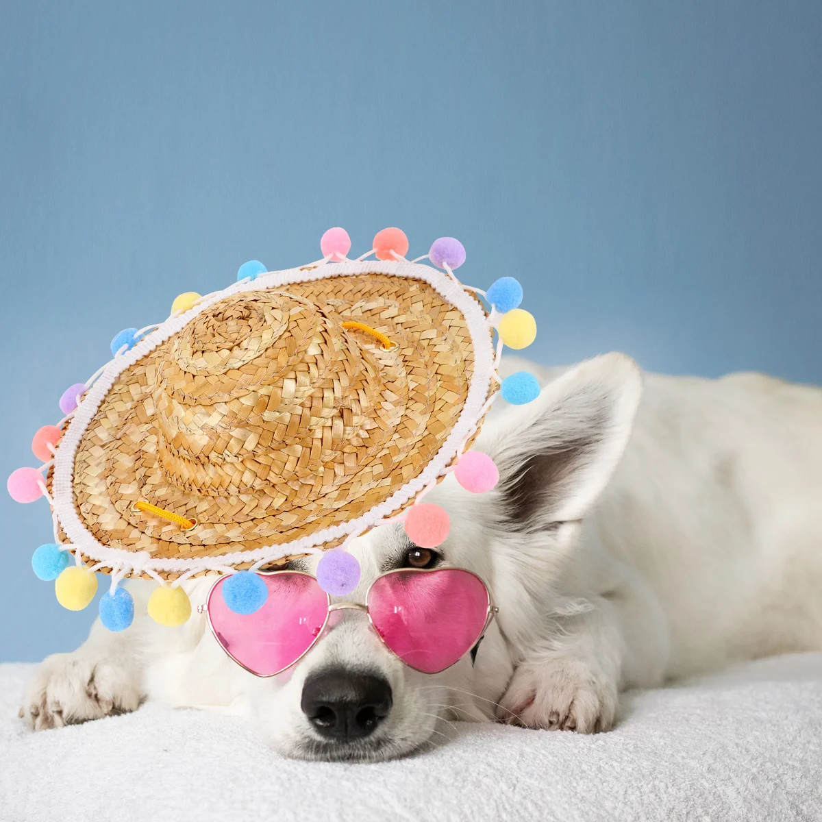 1Pcs Pet Bamboo Hat Creative Straw Woven Design for Cats Dogs Sun Protection Lightweight Breathable Hat for Vacation Photo Props