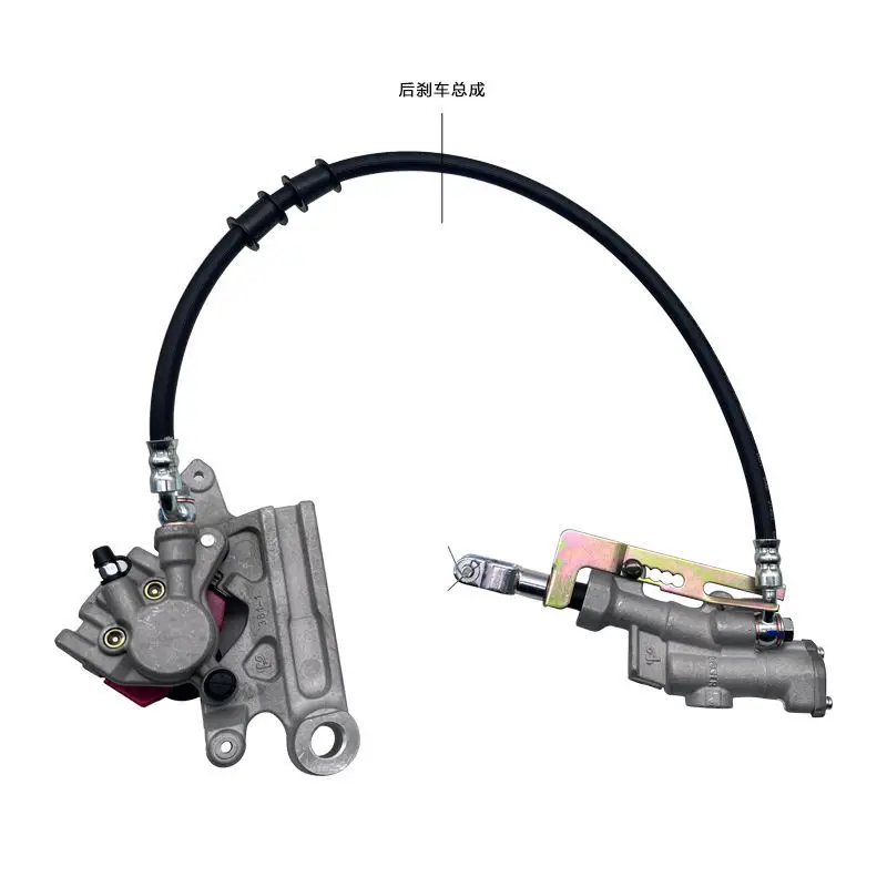 Motorcycle rear brake pump assembly,  disc
