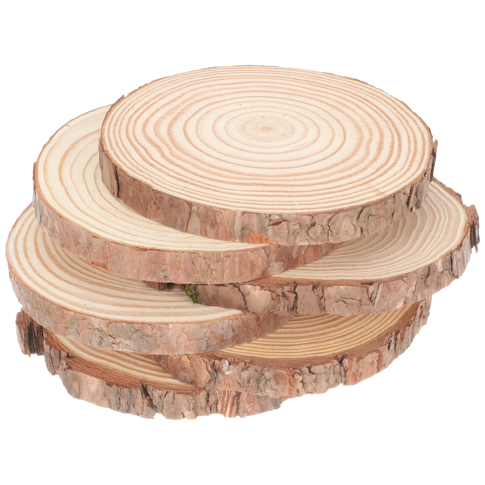 

6 Pcs Wood Slices Crafts Natural Unfinished Round Wooden Discs 14 15cm Thick 1 5cm Diy Coaster Home Decor Kids Project