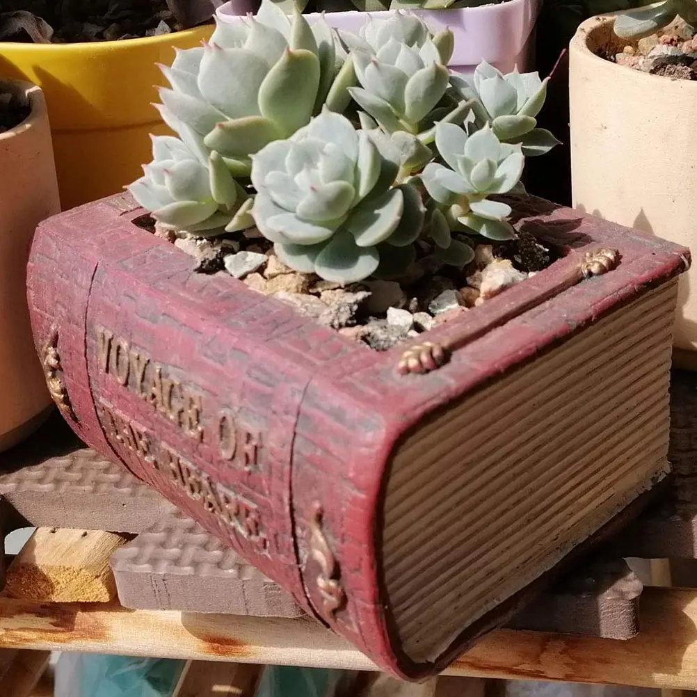 

Succulent Flower Pot Quirky Indoor Plants Pots Desktop Adornment Book Shape for Home Container Shaped Decorate Mother