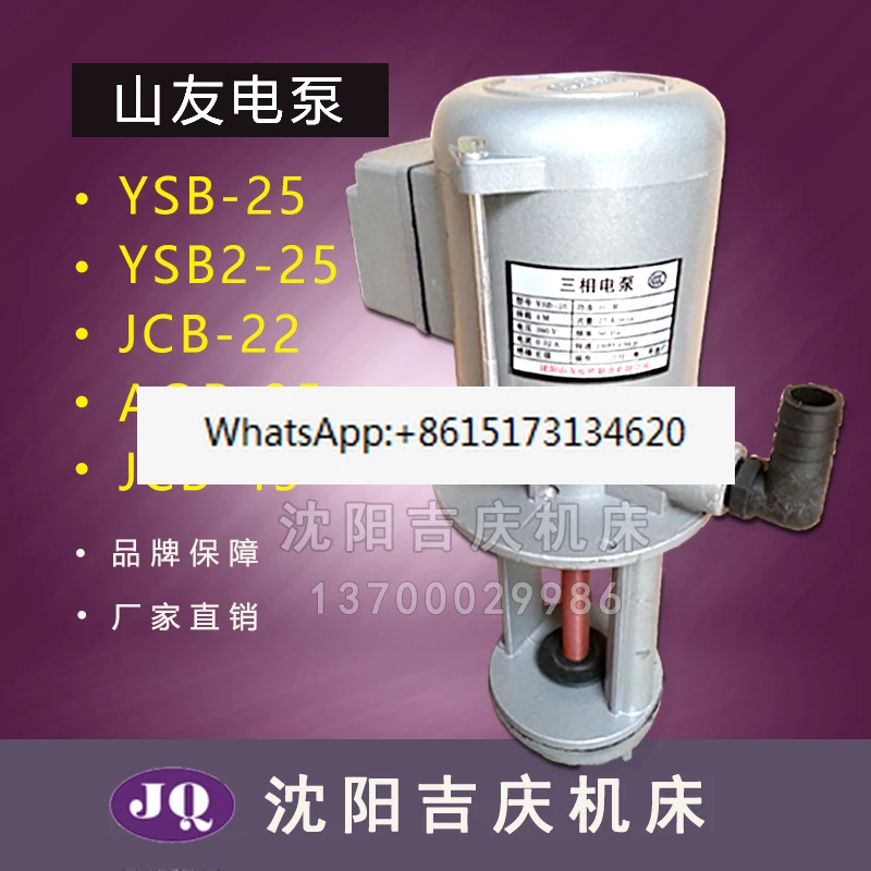 Pump YSB-25 YSB2-25… - image