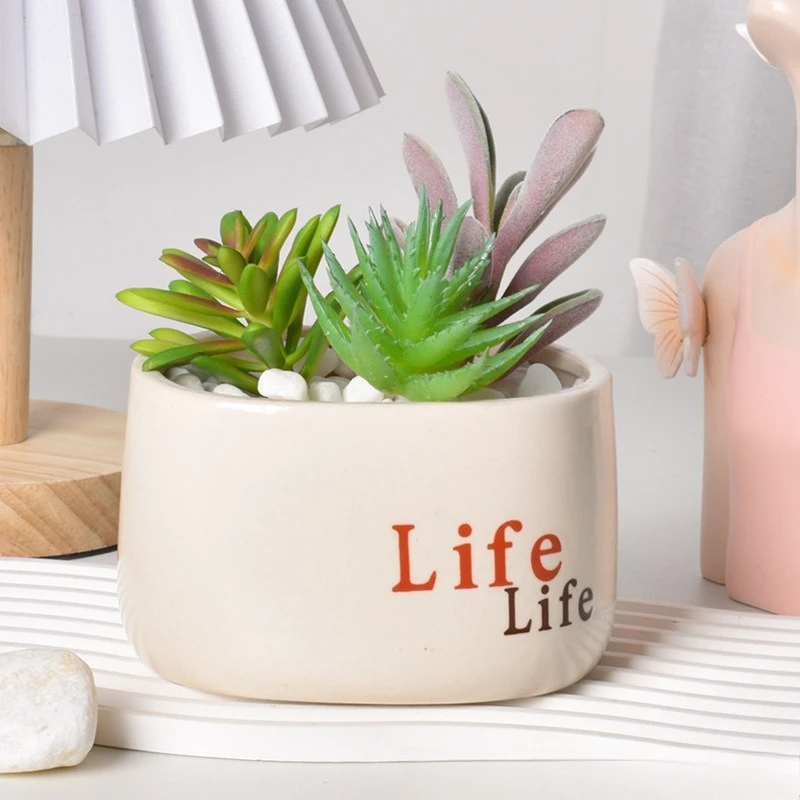 Simple succulent ceramic flowerpot, flower arrangement, potted plant, living room, home decor