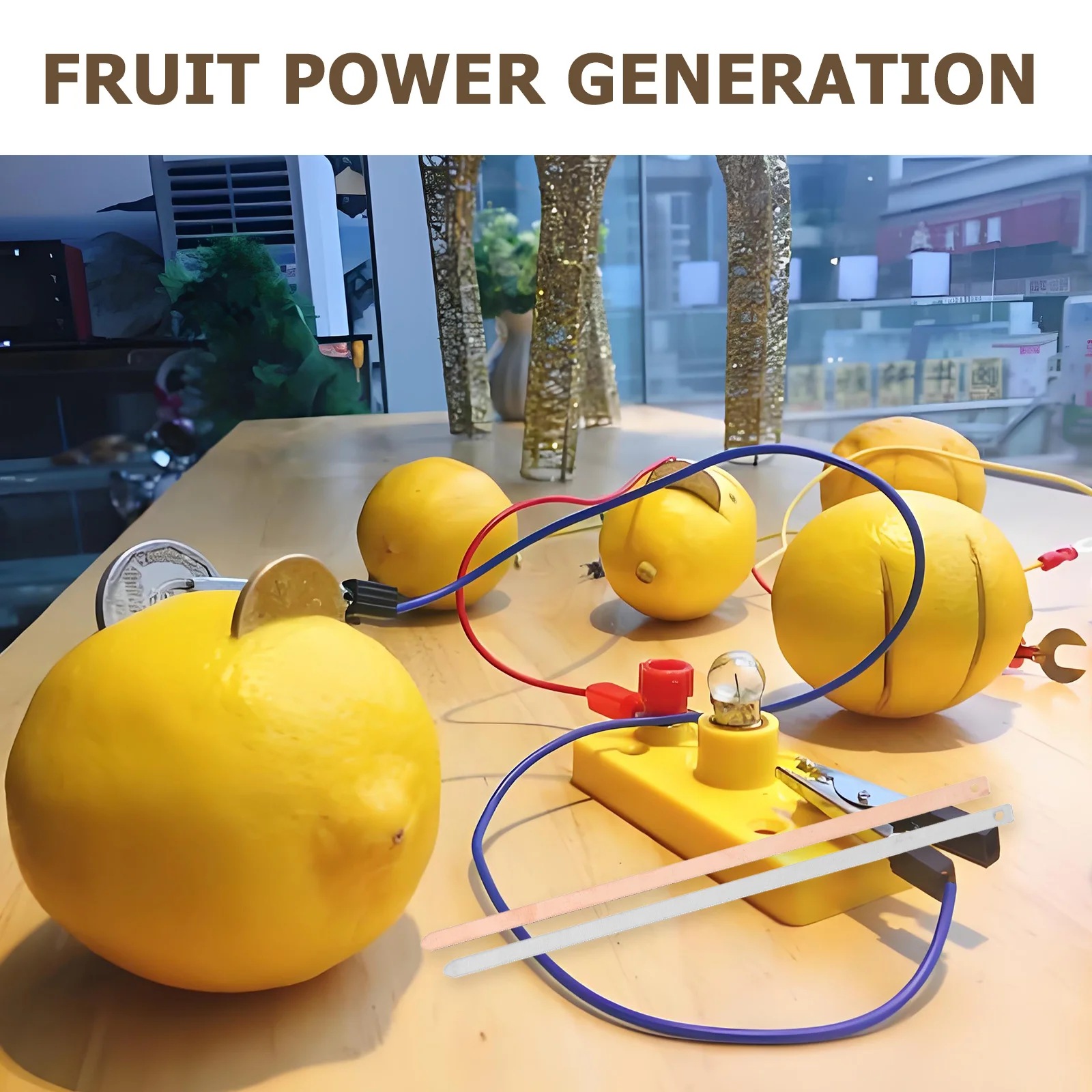 Kit di esperimenti scientifici da 20 pezzi Strisce di zinco in rame per progetti di frutta fai-da-te Attività di laboratorio con stelo educativo Fisica scolastica