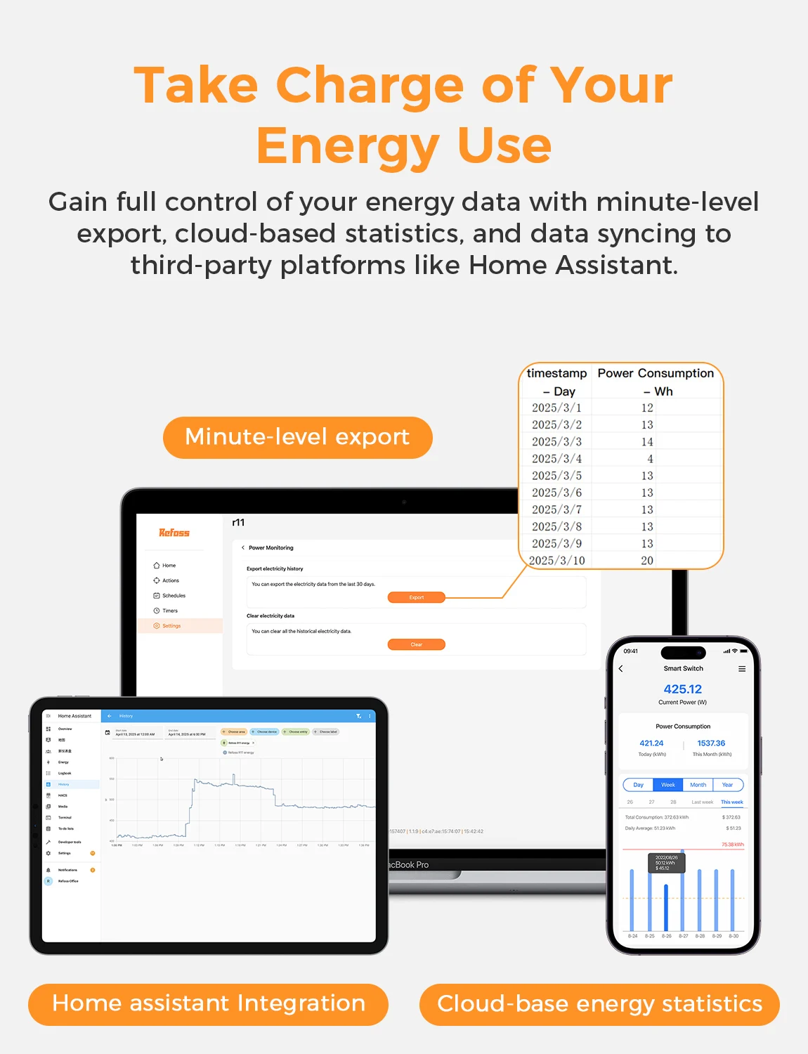 Refoss 16A Open API Plug P11S (EU-Version) WLAN-Buchse Energieüberwachung Home Assistant Integration Smart Plug WLAN-Buchse – Detail 1