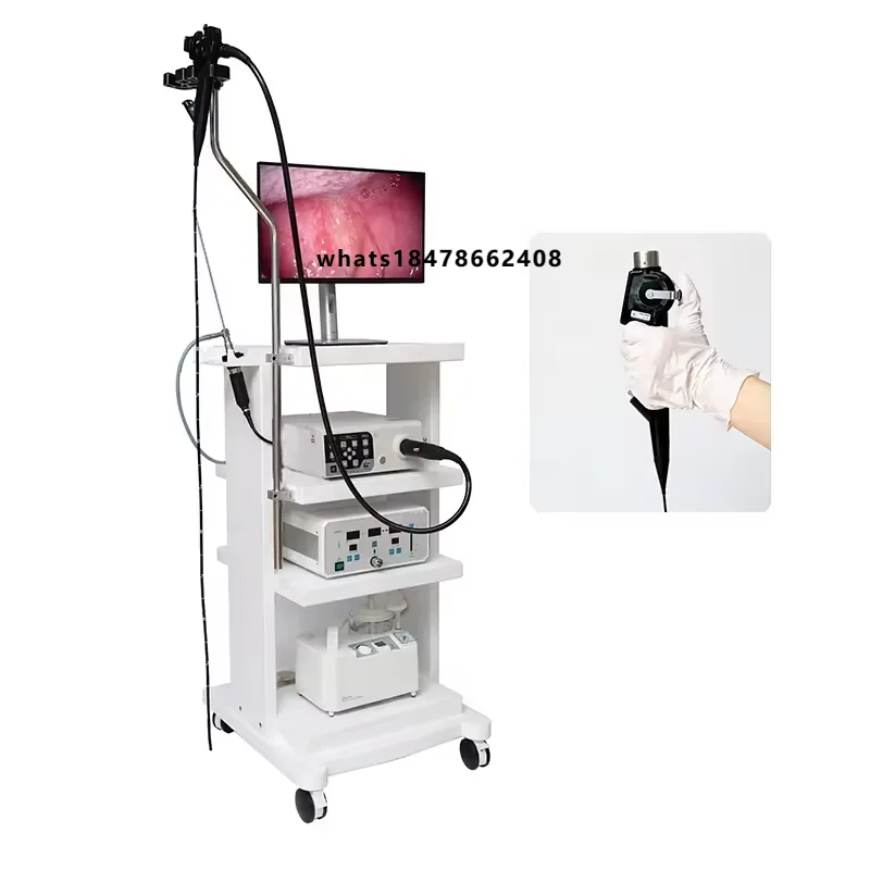 Hot-selling Veterinary Flexible Video Gastroscope Endoscope Gastroscope Colonoscopy Machine Price