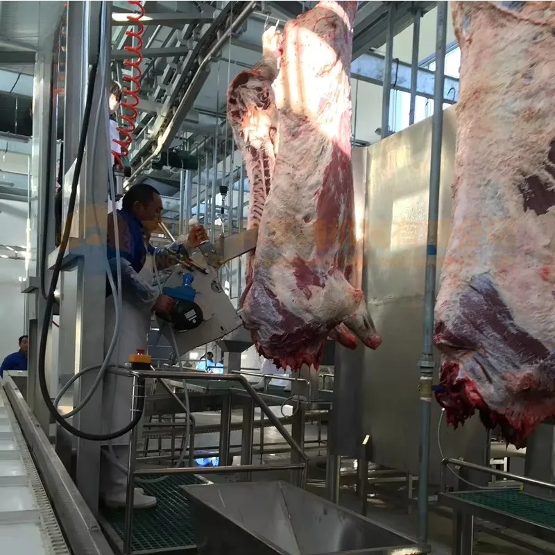 خط ذبح الماشية مطابقة إجراءات ذبح الماشية