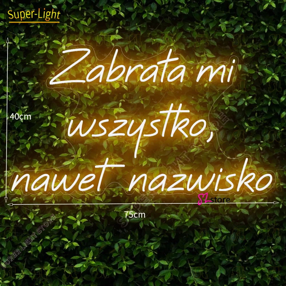 

Custom 75x40cm Neon Sign She took everything from me even my name Led Neon Lights for Home Wall Decor Personalized Gift For Her