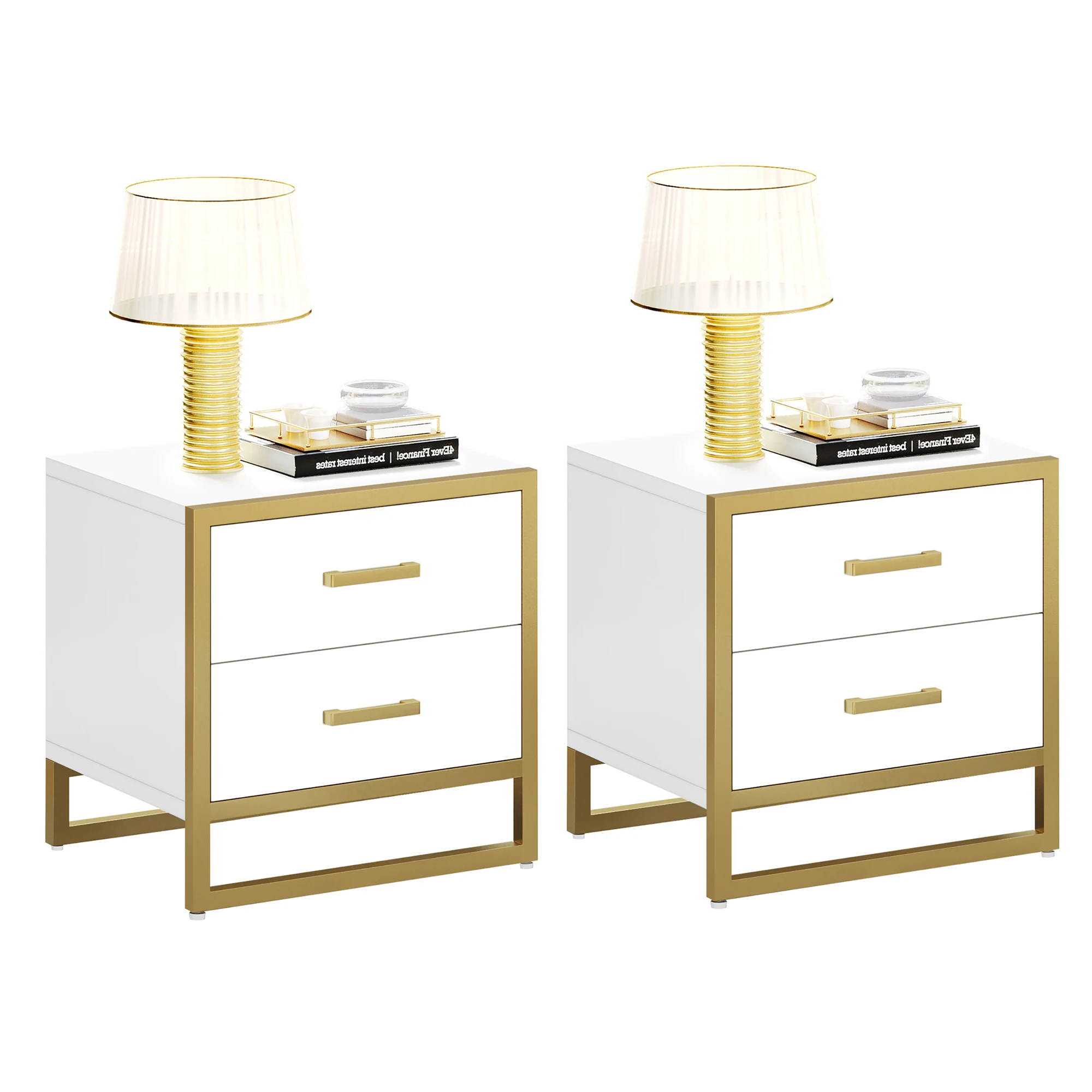 Set of 2 Nightstand Bedroom Bedside Table End Side Table with 2 Drawers Storage