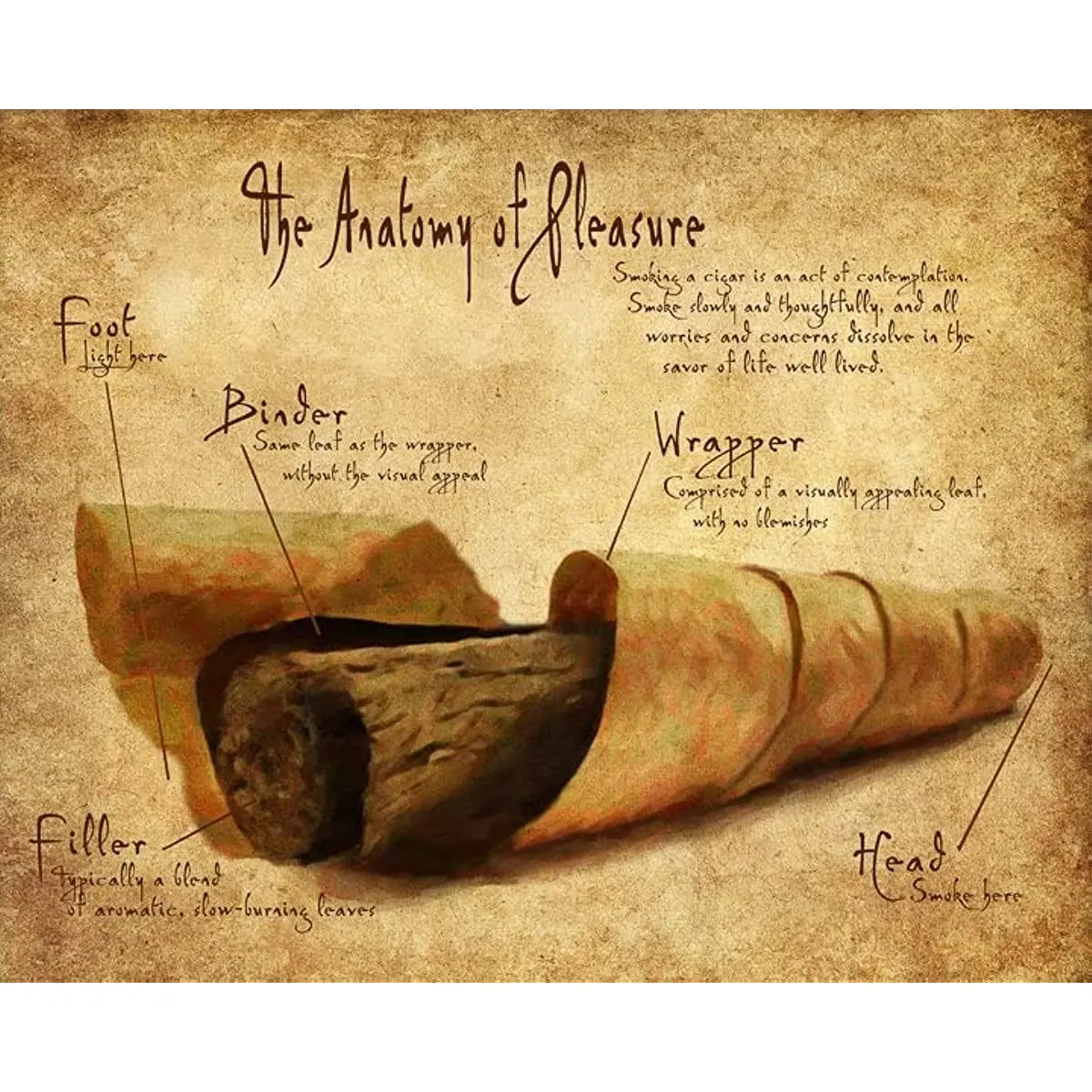 New Retro Metal Tin Sign The Anatomy of Pleasure Cigar Poster Cigar Smoker Gifts Man Cave Decor Gifts Fathers Funny Wall Decor