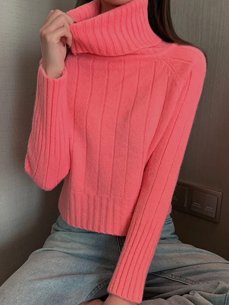 Autumn Winter Turtleneck Sweater Women Pullovers Casual Loose Solid Thicken Warm Sueter Woman Ribbed Sweaters Knitwear Tops