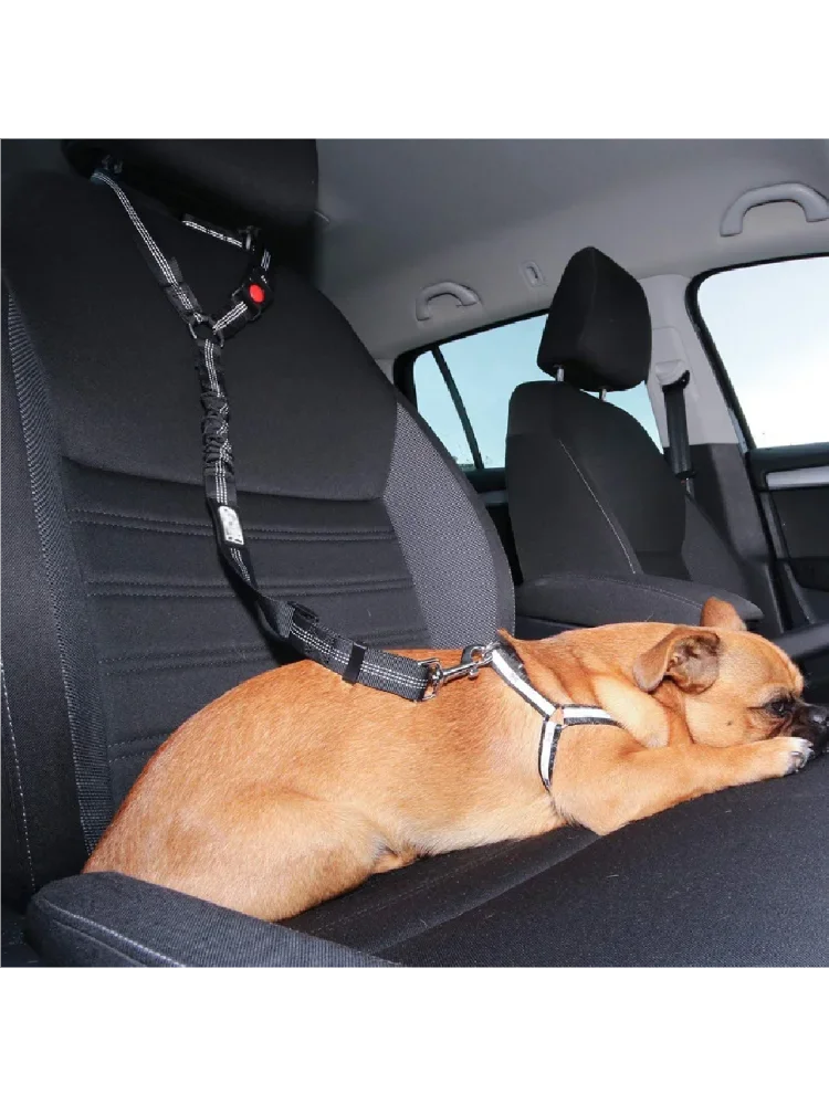 Ceinture de sécurité réfléchissante pour chien, chiot, marche, accessoires de voiture de voyage, harnais de laisse pour petits chiens, fournitures de voiture pour animaux de compagnie