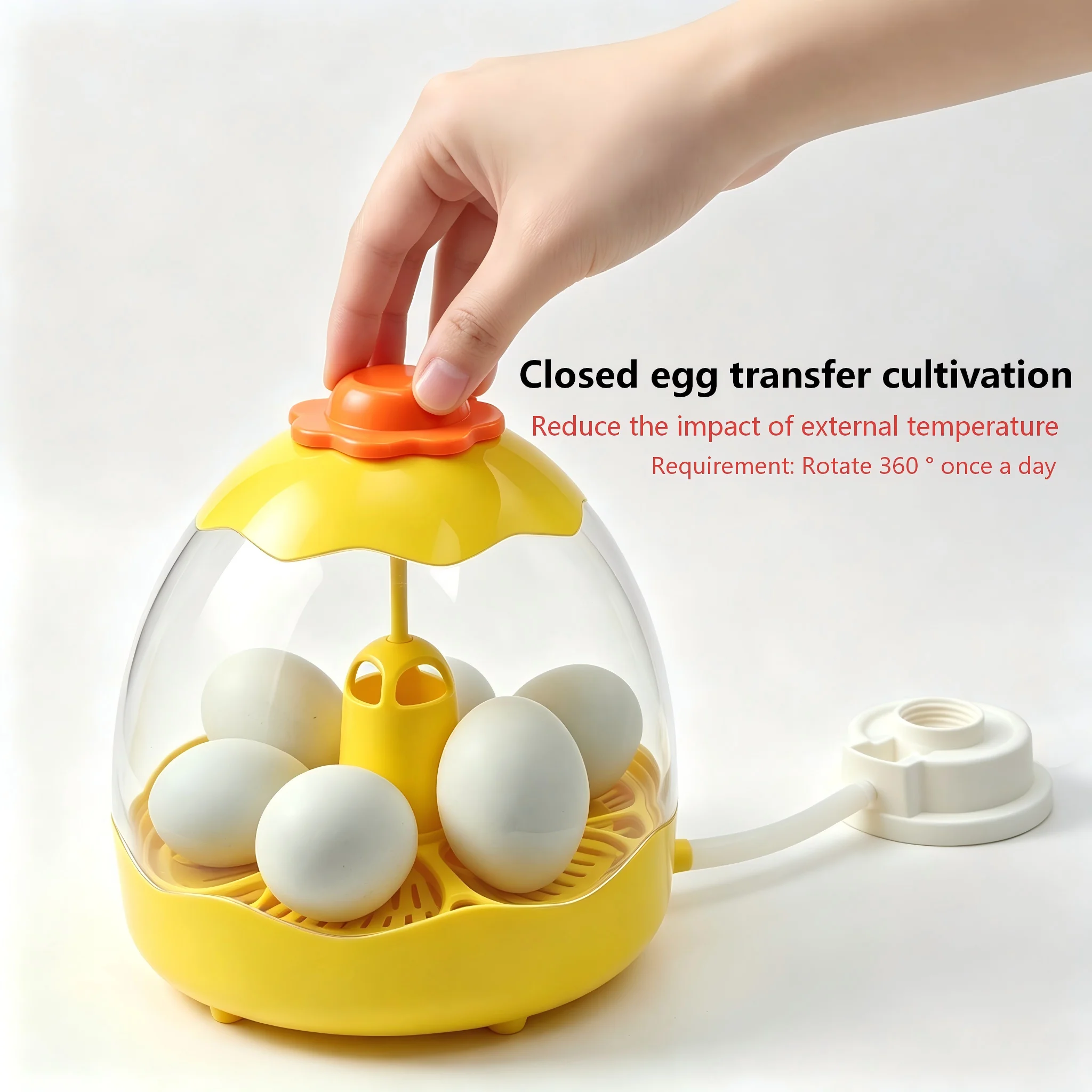 12V Constant Temperature Incubator, Built-in Egg Lamp for Checking Eggs, Equipped with Water Storage Base, Capacity of 6 Eggs