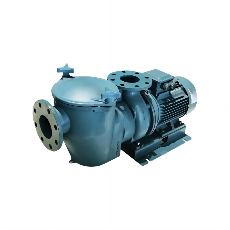 

Commercial cast iron water pump high-power water pump equipment for large swimming pools