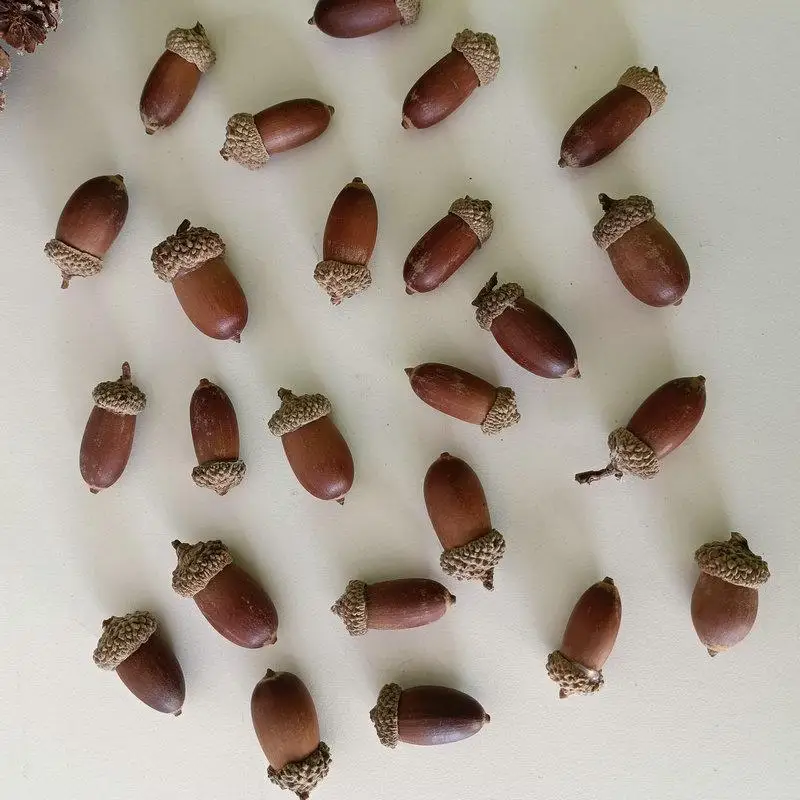 50Pcs/pack Natural Big Acorn Home Christmas Festival Party Creative Handmade Diy Decorative Material Acorn Children Toys