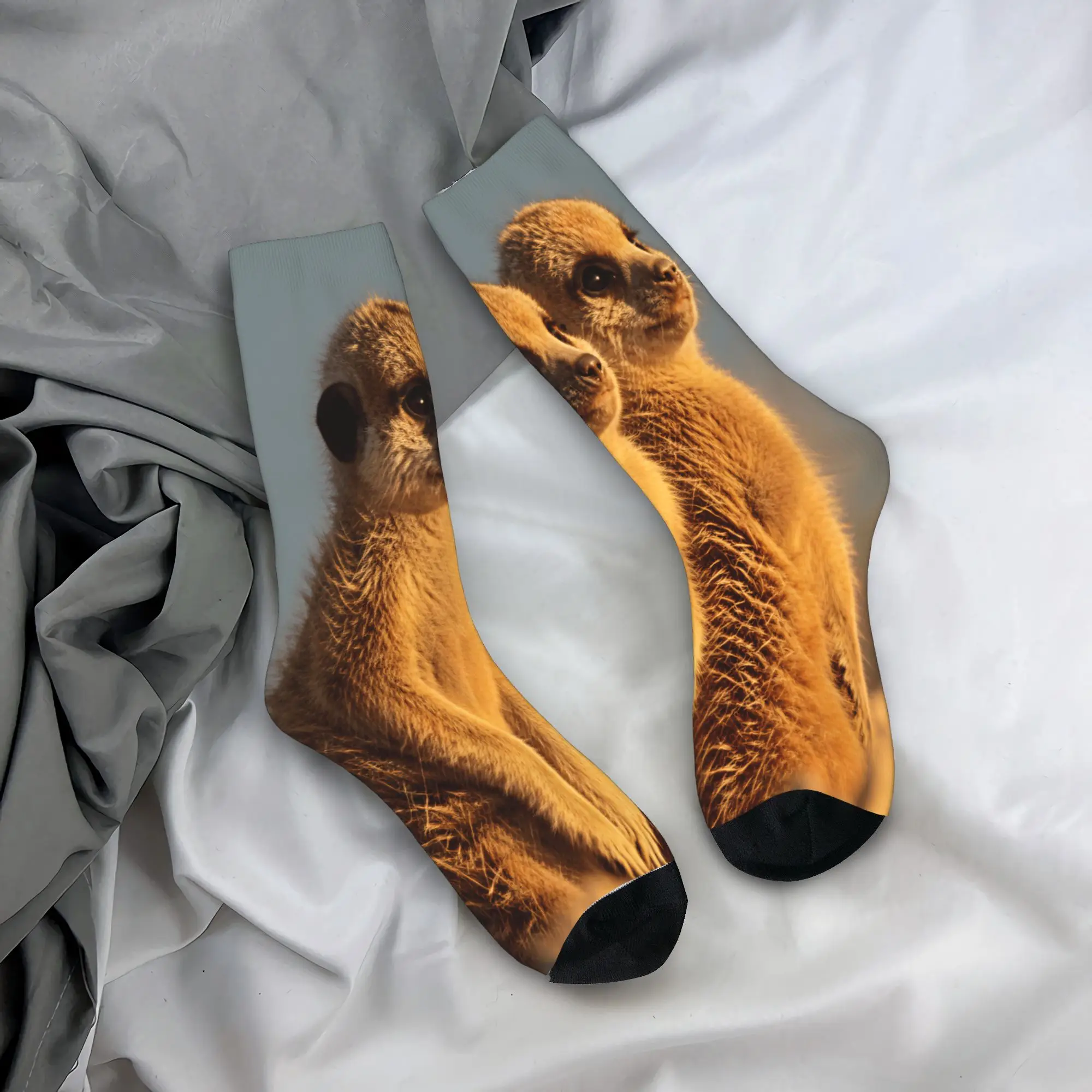 Adults Men Socks Two Baby Meerkats Sitting Together Sunset Photo  Stockings Anti Skid Breathable Socks Autumn Outdoor Socks