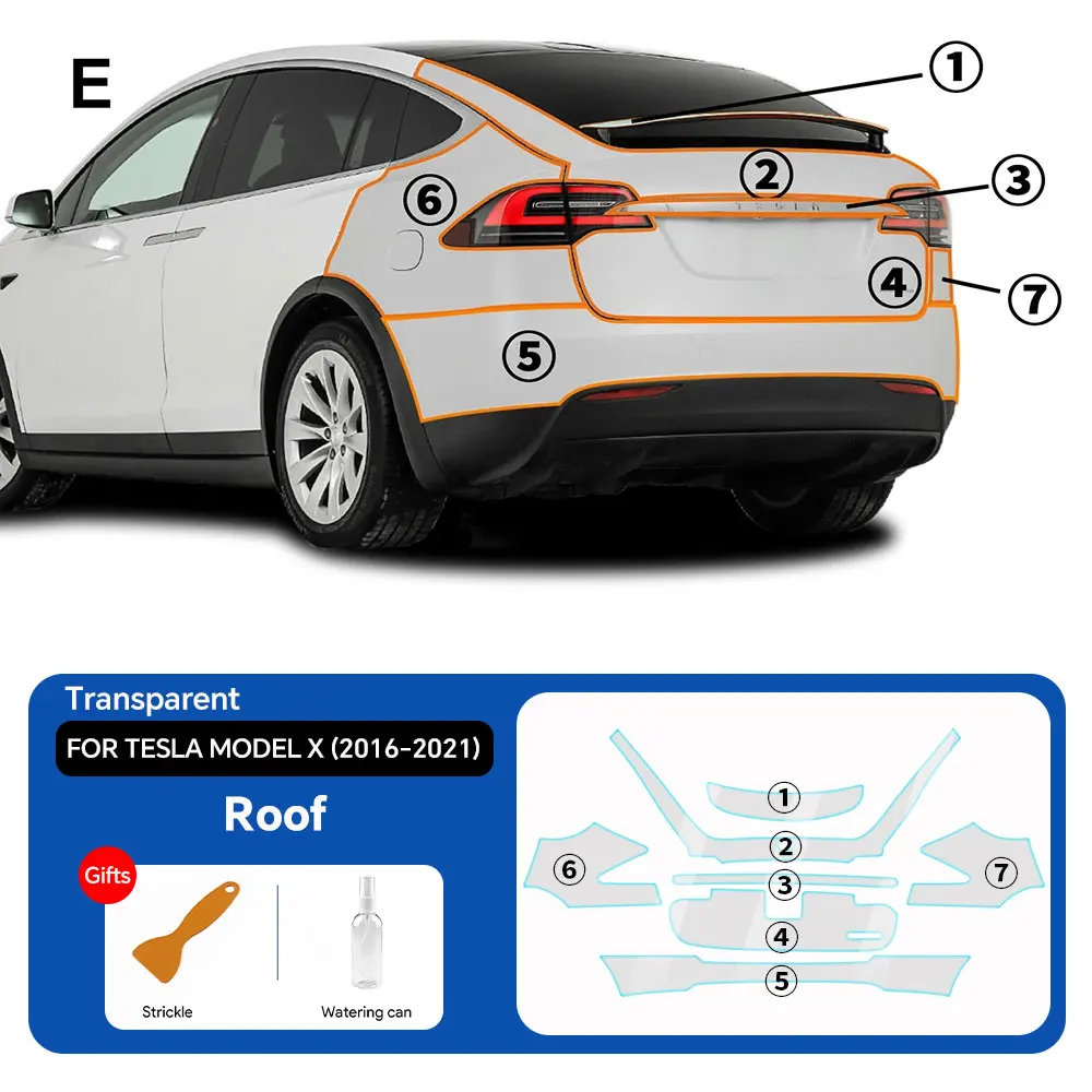 Rear Trunk