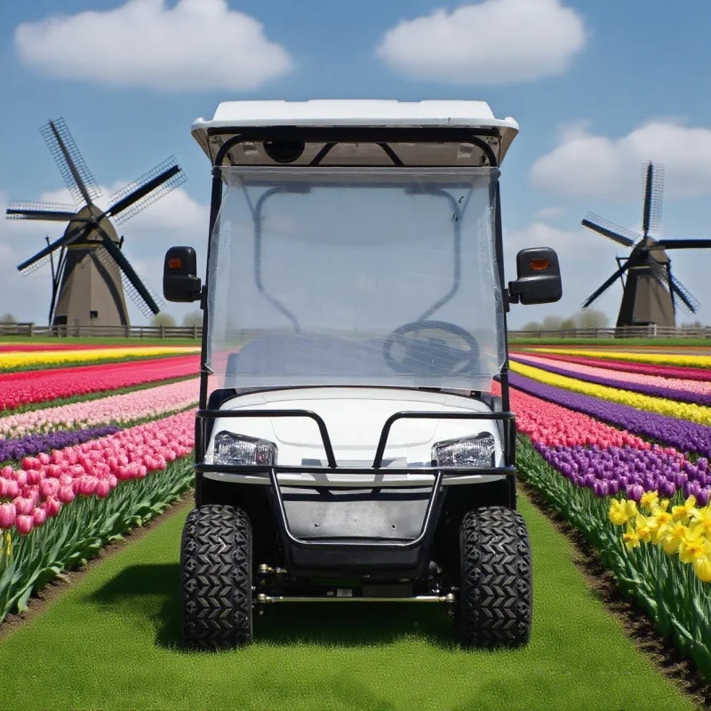 Manufacturer Wholesale Luxury Electric Golf Cart Fast Powerful Golf Cart 72V Intelligent Electronic Control Electric Scooter