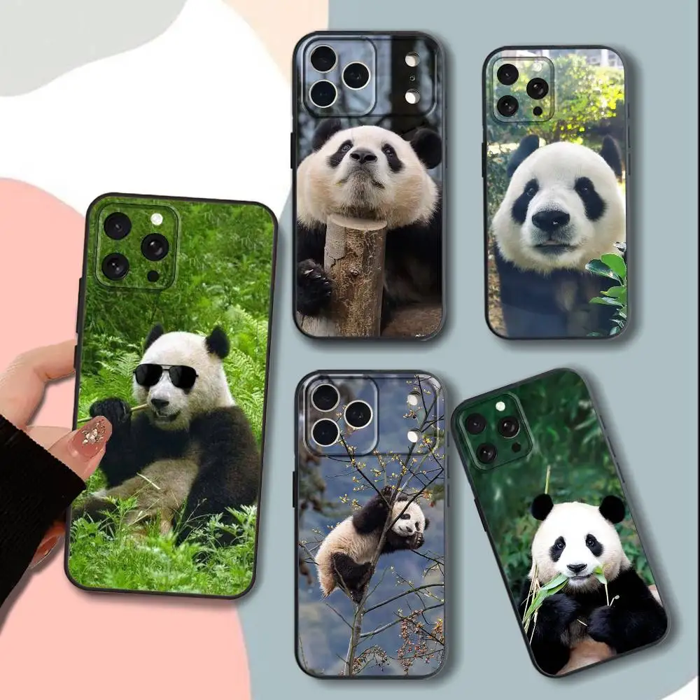 

Black and white fubao panda Phone Case For iPhone 15,13,16,12,11,17,14,Plus,Pro,Max,XS,XR,X,SE,Mini,Soft Silicone Black Cover