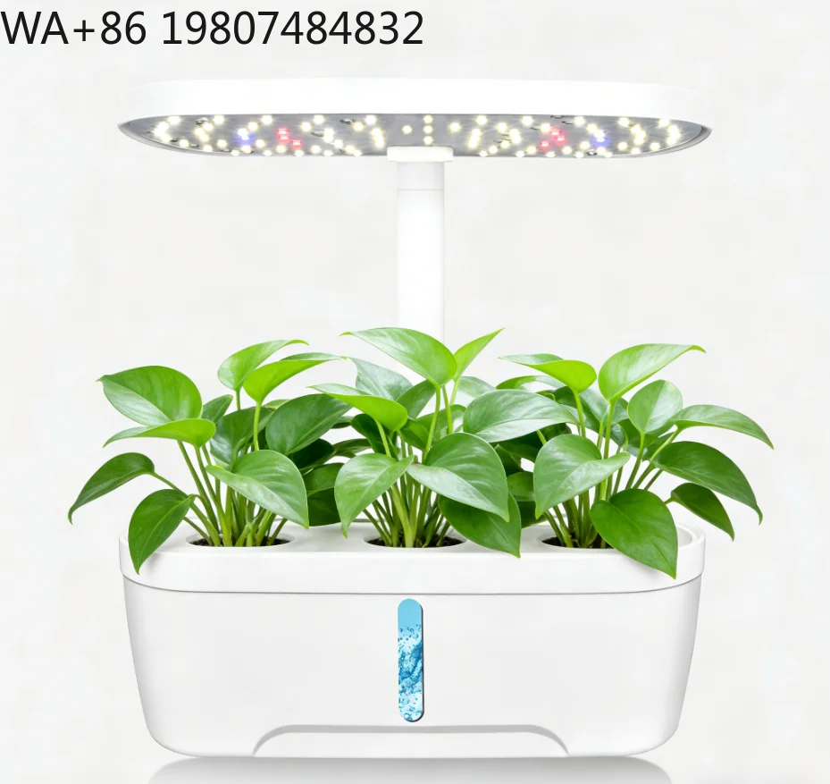 6-hole Mini Desktop Soilless Cultivation Kit Full Spectrum LED Fill Light  Indoor Balcony Herb Vegetable Small Space Hydroponic