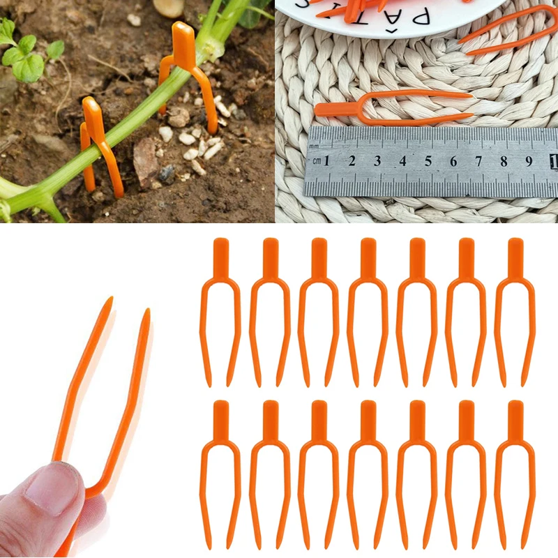 20/50/100pcs Plastic Plant Climbing Support Clips Plant Vine Holder For Flower Strawberry Seedling Tomato Garden Supplies