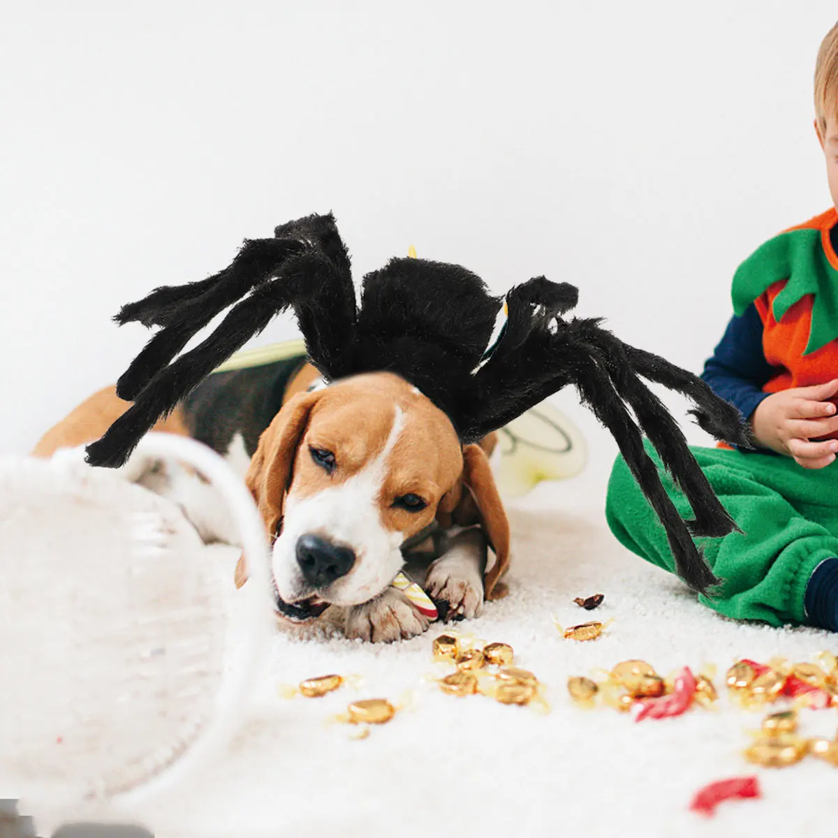 

Pet Decoration Halloween Spider Costume For Dogs Cats Soft Cosplay Outfit Halloween Pet Clothes Dog Apparel Party Decor