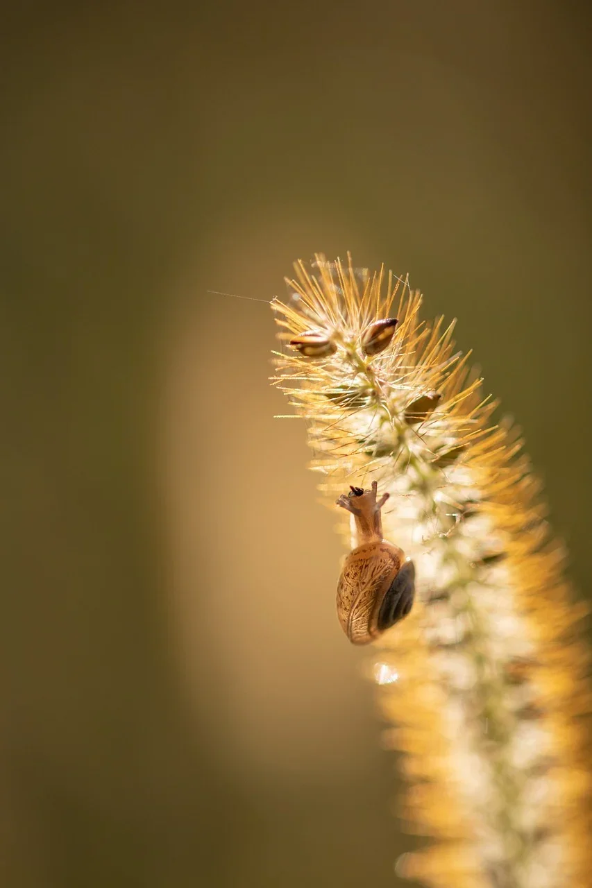 

2025's latest oral care tools effectively ʳᵉᵖᵃⁱʳ ᵗᵒᵒᵗʰ ᵈᵉᶜᵃʸ