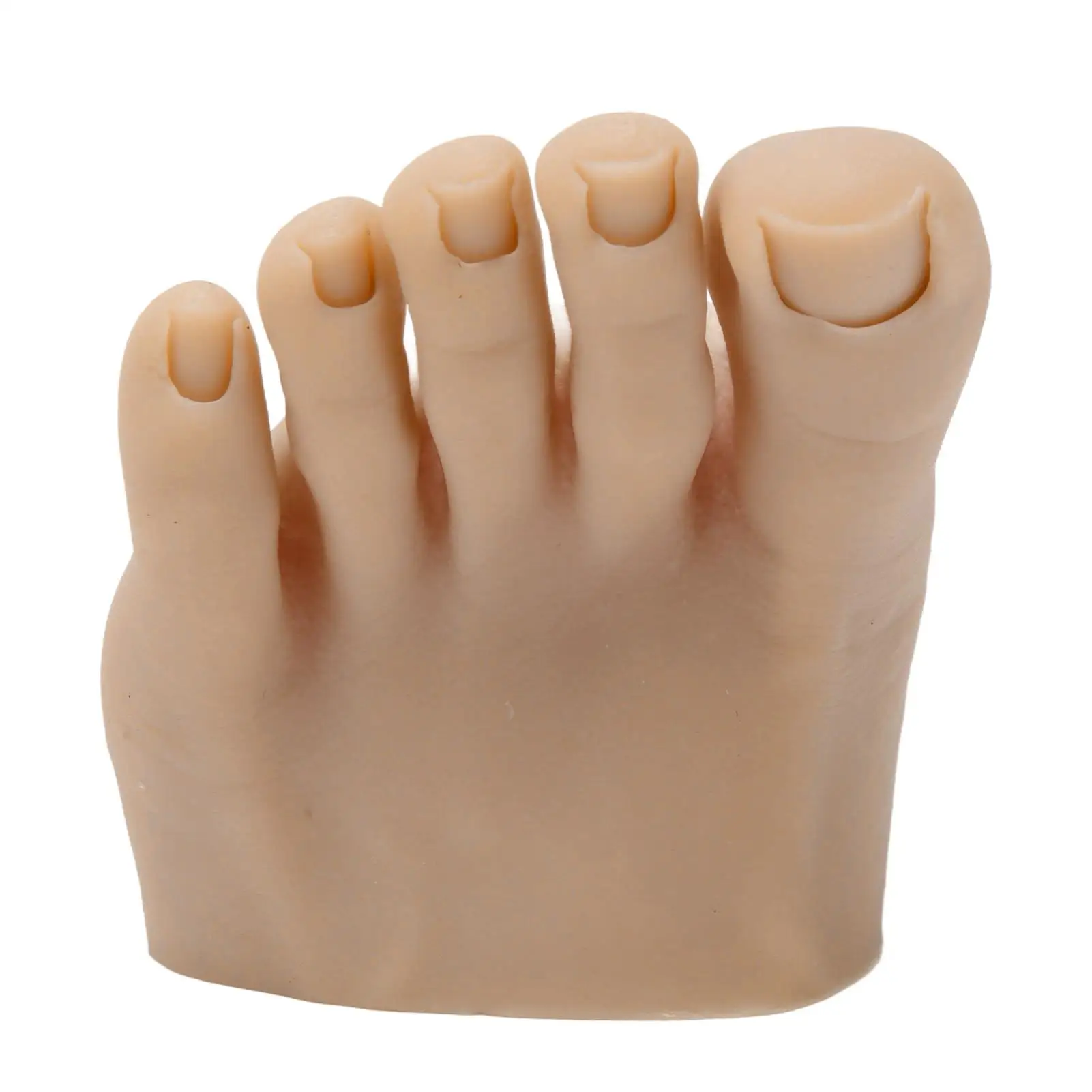 

Soft Washable Fake Foot Model for Nail Art and for tattoo Practice Ideal for Beginners in Salon Use