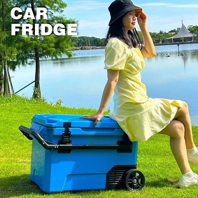 

New Design Mini Car Cooler Box Electric Cooler camping fridge freezer portable