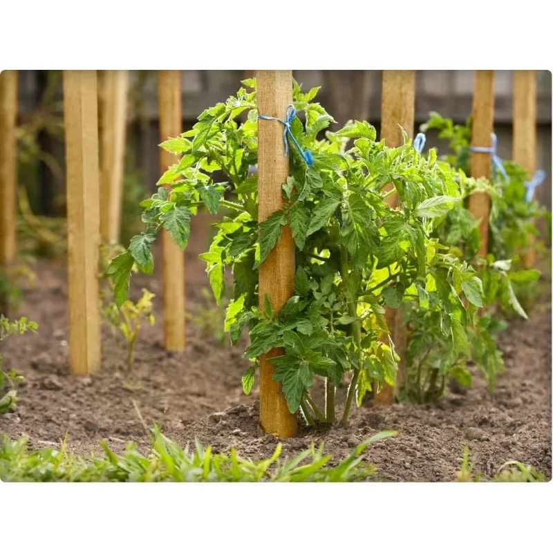 Wooden Stake Garden Sign Post Pack Fifty