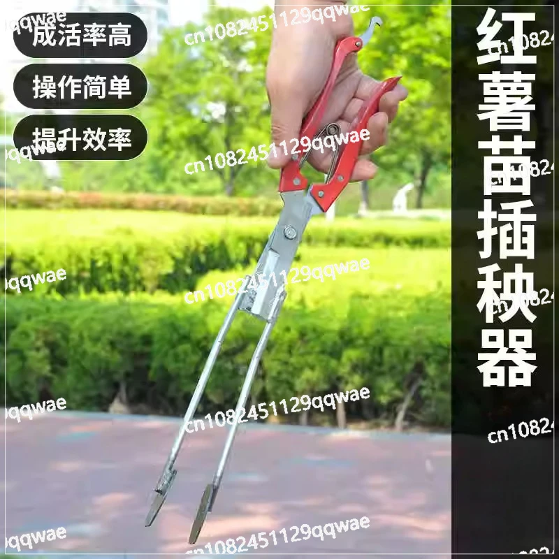 

Посадка саженцев сладкого картофеля Артефакт Сельскохозяйственные инструменты Пересадка саженцев Посадка саженцев Рассадка рассады