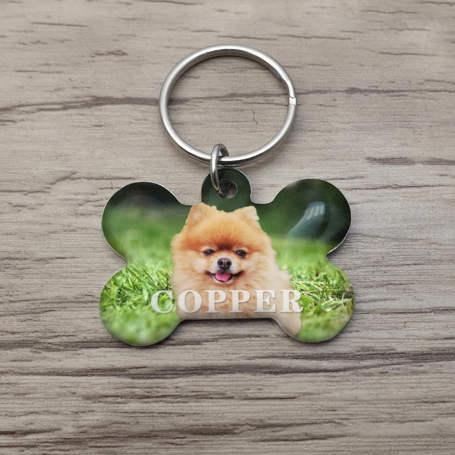 Personalized Dog Tag Custom Pet ID Tags with Your Dog Cat Photo Bone Keyring Puppy Identification Name Pendant Pet Collar Charm