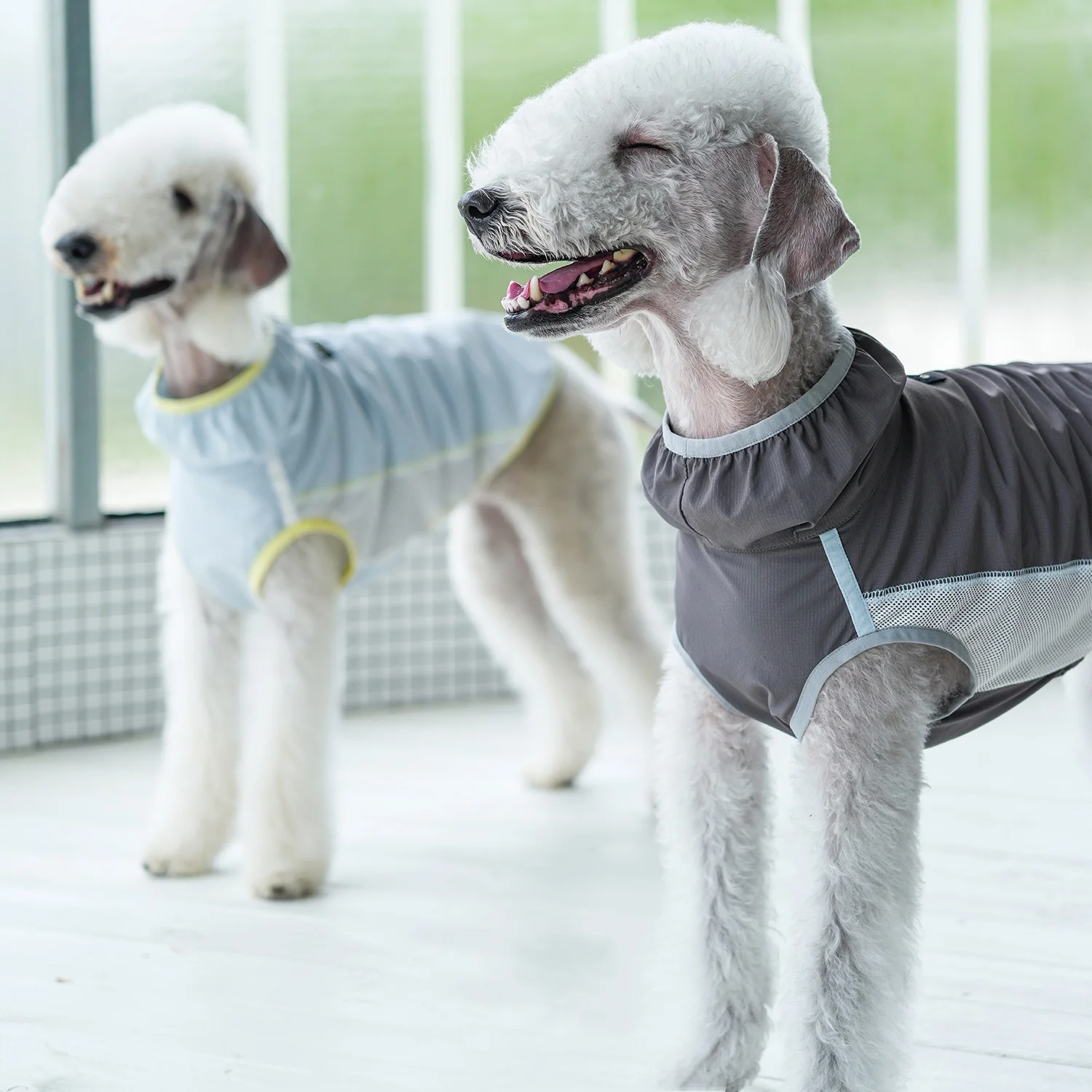 Breathable Summer Blue UPF50+ Sun-protective Vest for Dogs Light Green Mesh Cooler T-shirt for Italian Greyhound in Spring