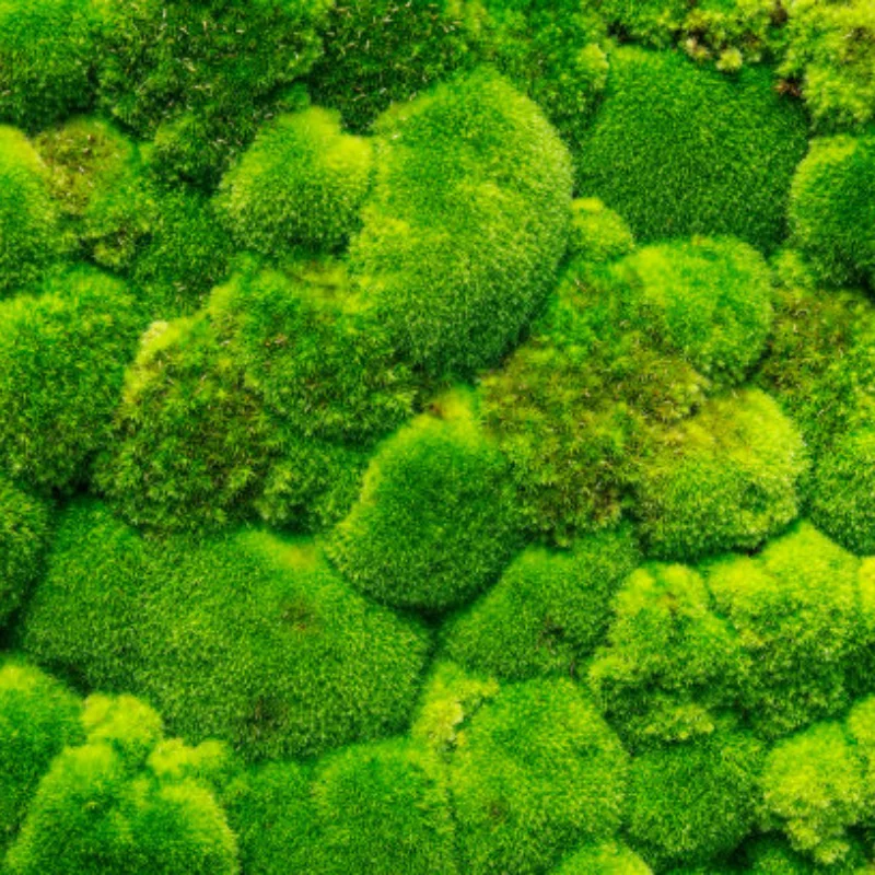 

4 шт., алюминиевый 2,2-дюймовый RC обод колеса с бисером, шестигранный, подходит для TRX4 TRX6 SCX10 90046 RR10 Wraith 1/10, RC гусеничный автомобиль