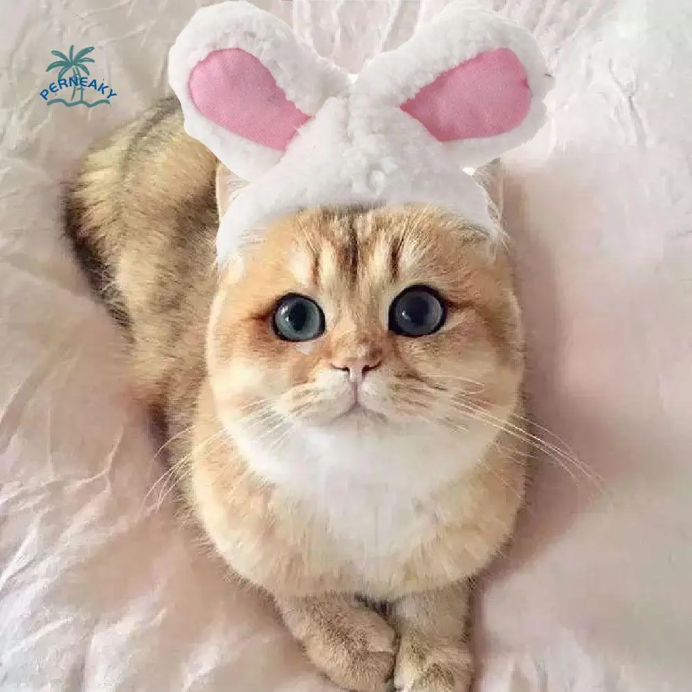 

For Cats & Small Dogs With Ears Cosplay Cat Costume Cat Headwear Pet Accessory Rabbit Hat