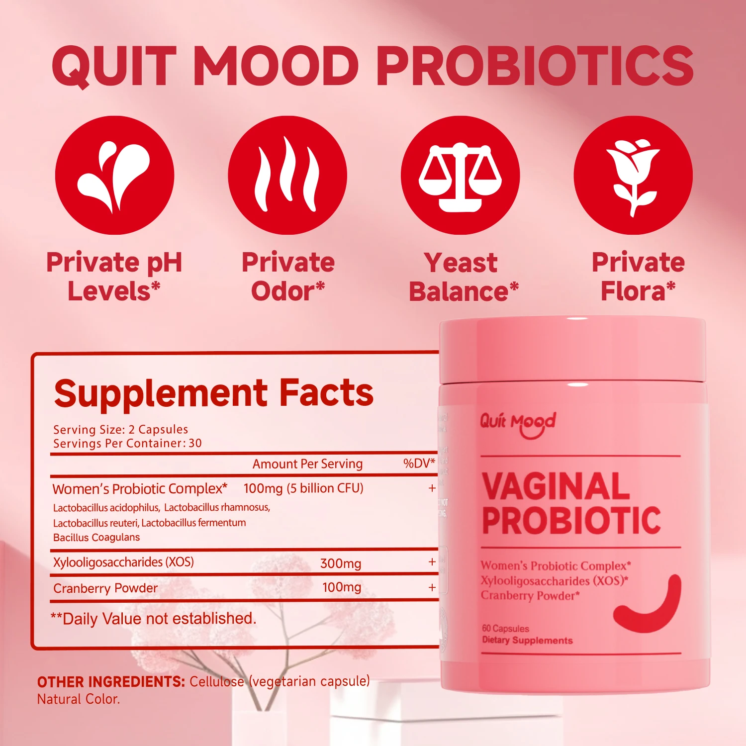 Quitmood Queen's Female-Focused Once-daily Women's Complete V- Probiotics for Women - PH Balance, Odor Control, Yeast & Flora