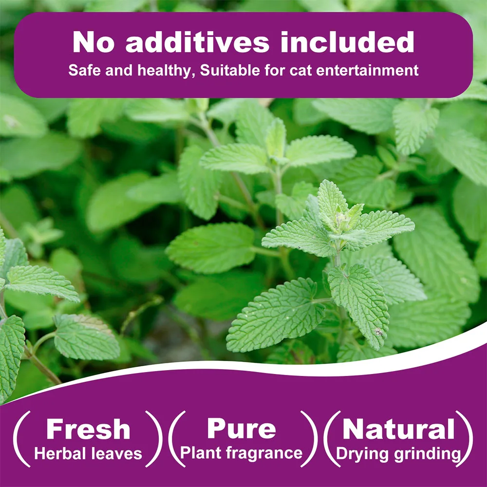 100% النعناع البري الطبيعي والنعناع البري النقي لصديقك فروي طعم مضحك القط لعبة جديدة لعبة القط التفاعلية مستلزمات الحيوانات الأليفة