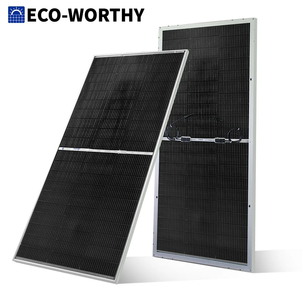 ECO-WORTHY 195W N-Type 18BB Bifacial Solar Panel, 1PC 12 Volt Monocrystalline Solar Panel with 25% High Conversion Efficiency,