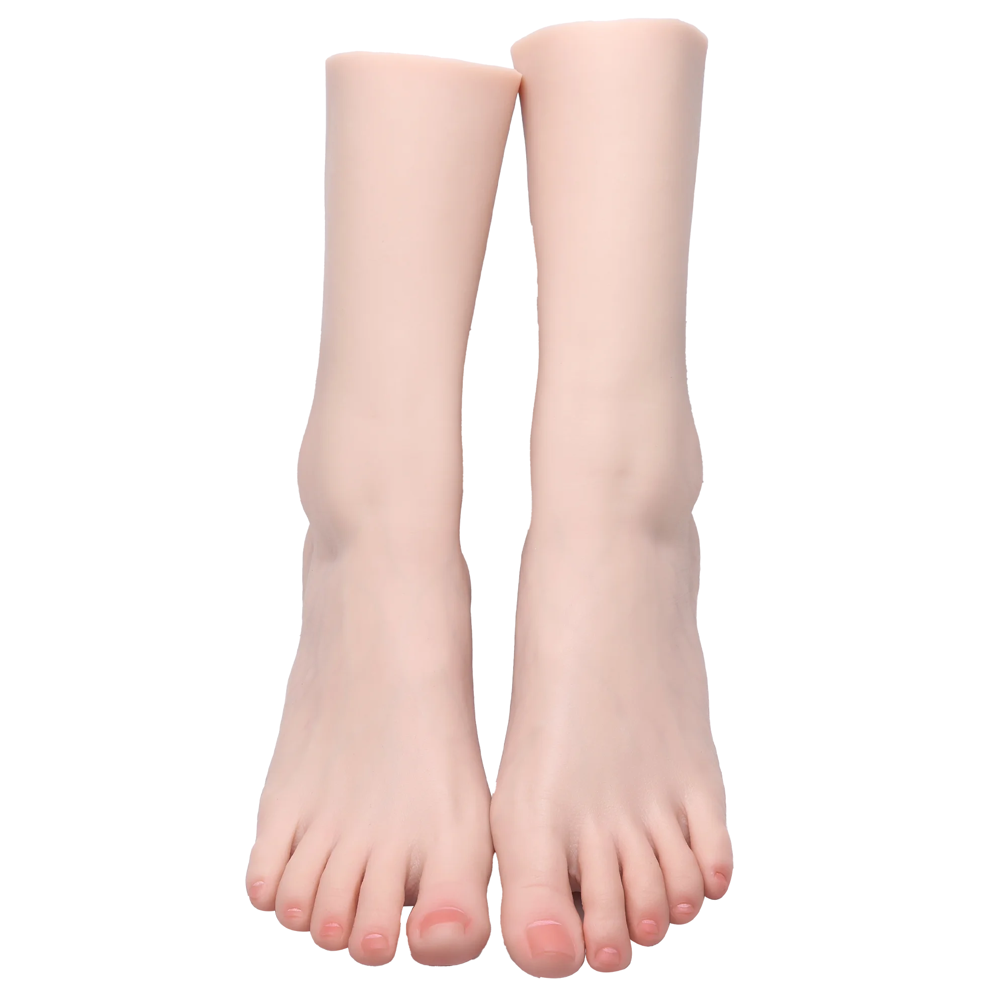 

SISHINE Lifelike Adult Foot Model Female Liquid Silicone Foot Fetish Shooting Props Jewelry Display Simulation Toes Bone TGJ40