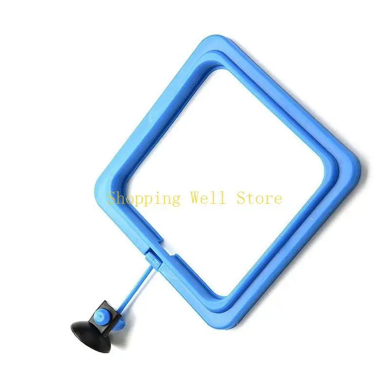KX4B Betta Feed Ring Vòng tròn Floating