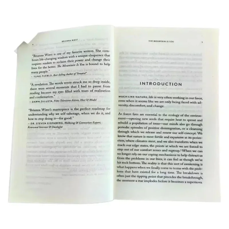 The Mountain Is You: Transforming Self-Sabotage Into Self-mastery English Books Birthday Gifts image 6