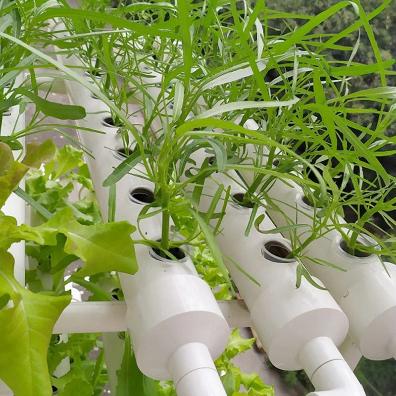 Mesh Net Basket Veg Grow Nursery Cup Nursery Basket Plant Cultivate Pot Hydroponics Growing Basket Soilless