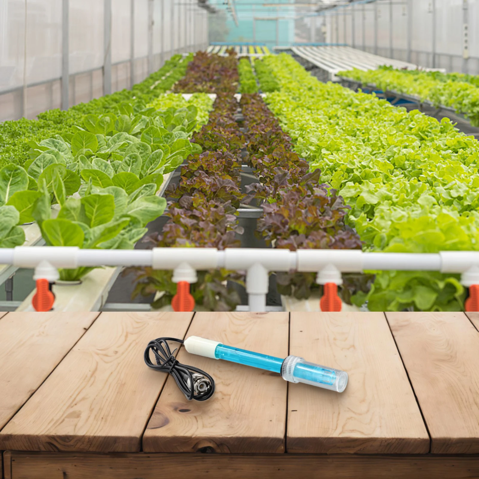 Compatibility PH Hydroponics Culture Detector Measurements PH Hydroponics BNC Connectors Probe Compatibility Culture Detector