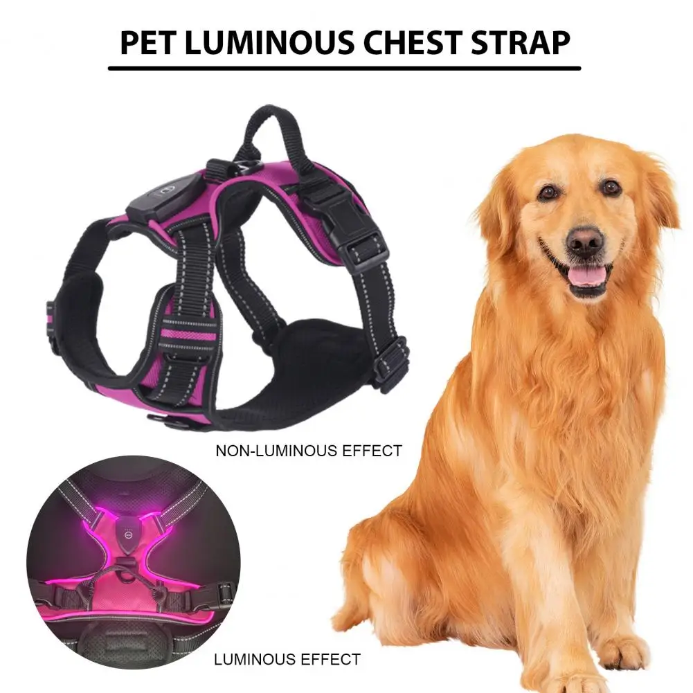 Pet Harness Rechargeable Led Dog Harness for Night Walking Adjustable Glow Vest for Small Medium Dogs Pet Chest Strap Soft Dog