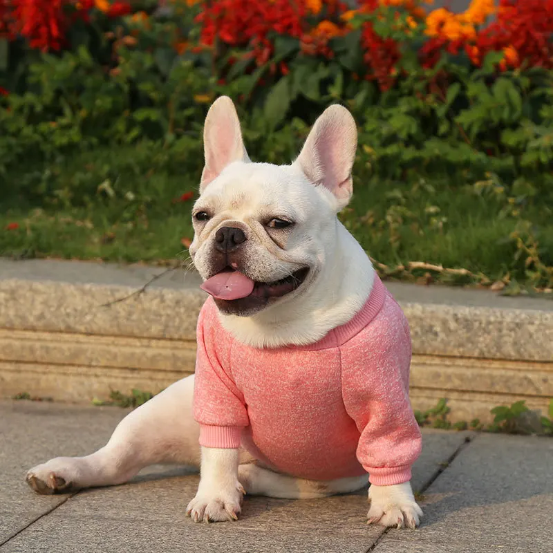 Autume Dog Clothes Luxury Dog Hoodies Cute Puppy Sweaters Soft Cat Hoodies Solid Pet Dog Sweatshirt Bulldog Clothes Pet Pullover