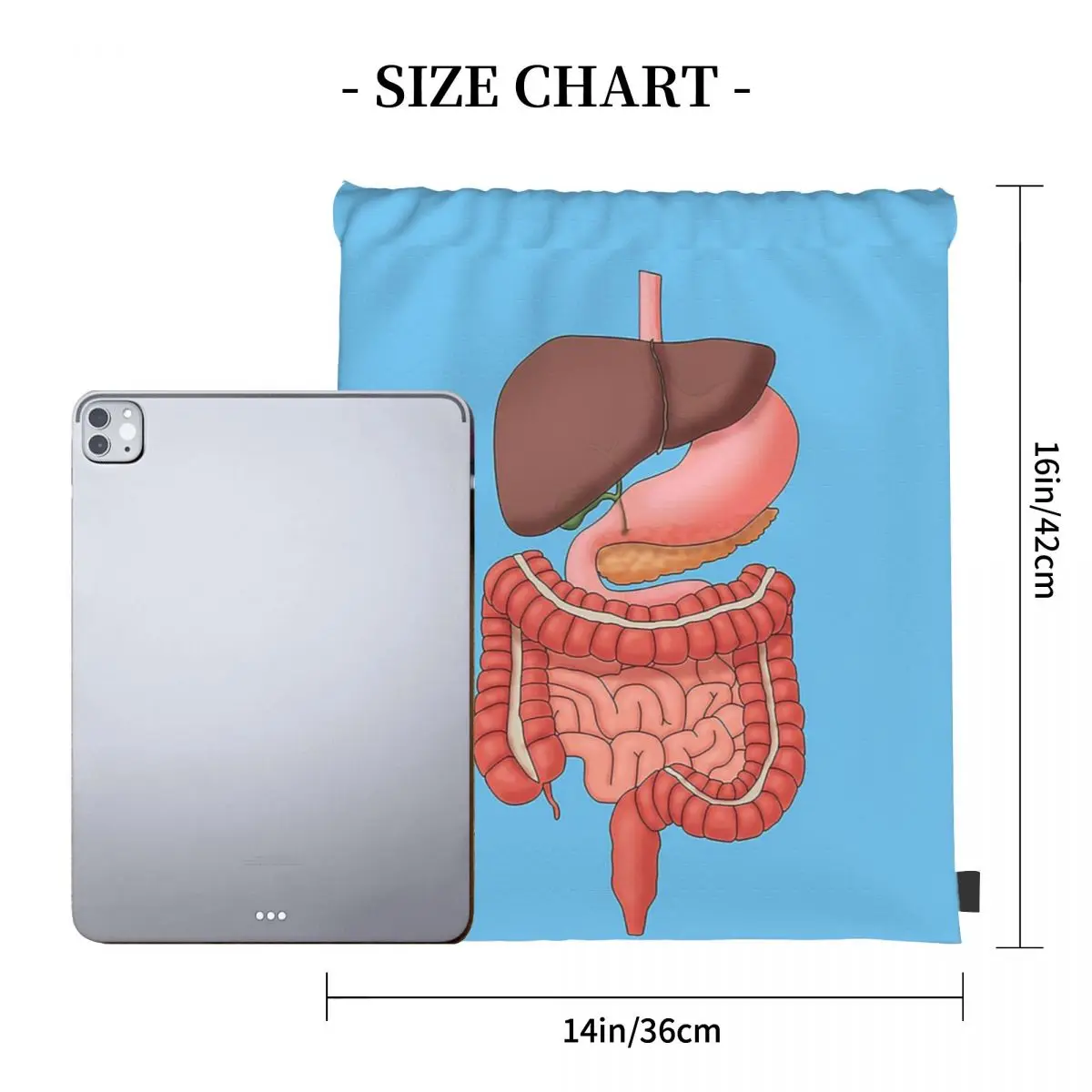 Órgãos do Sistema Digital Ilustração Médica Mochilas, Sacos De Cordão Portátil, Saco De Sapatos, Sacos De Livro Para Estudantes De Viagem, Moda